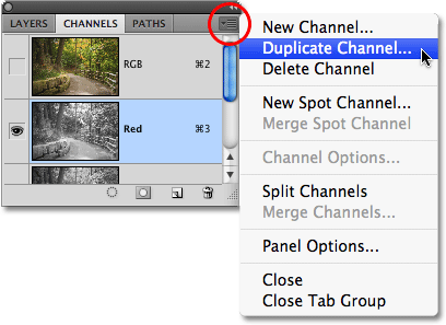 The Panel menu icon in Photoshop CS4. Image  2009 Photoshop Essentials.com.